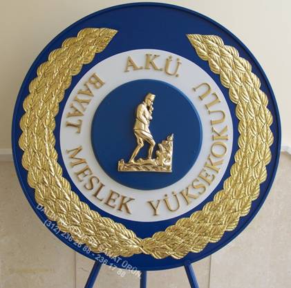 �niversite �elenk kocatepe fak�lte